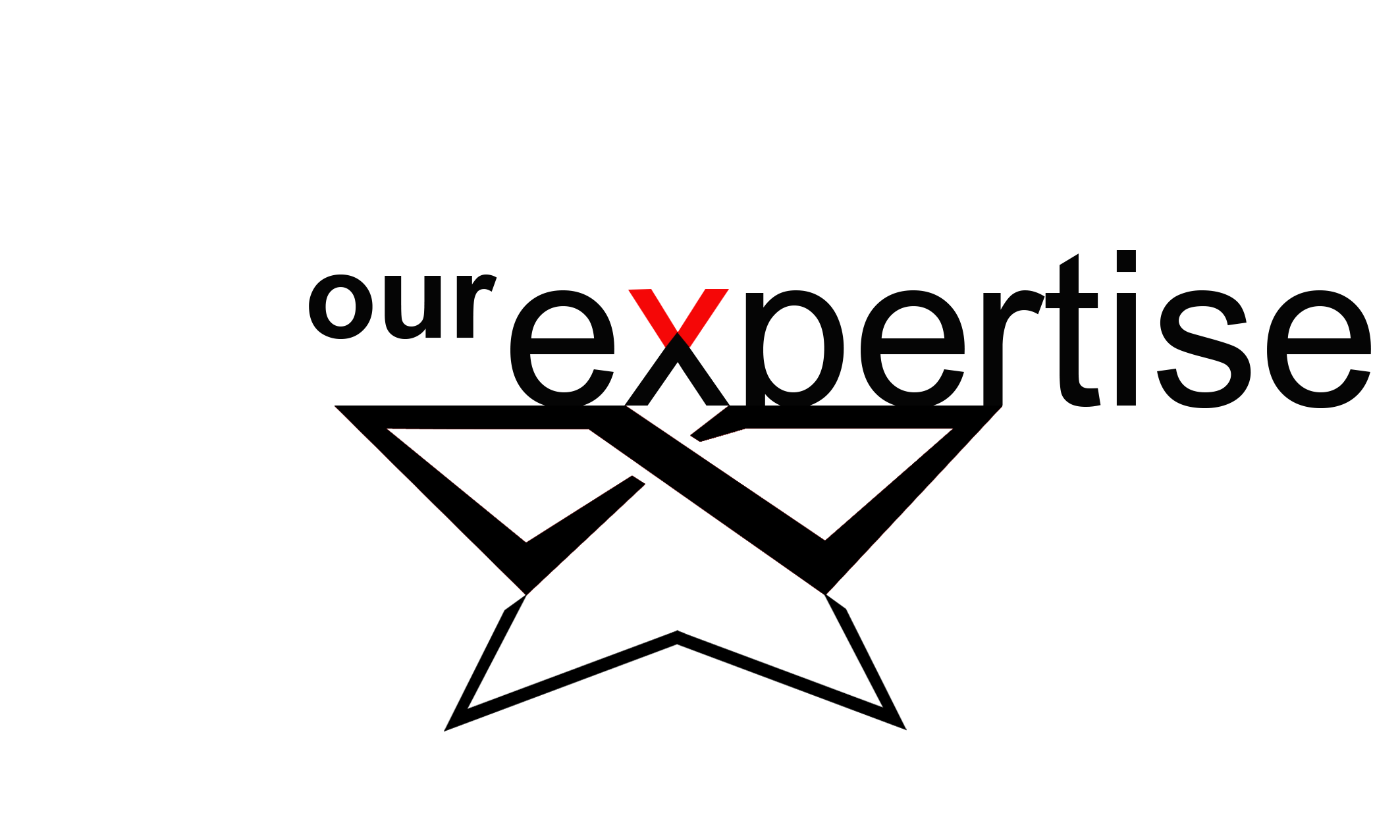 Our Expertise